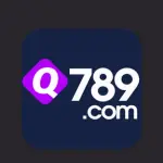 Q789 Game